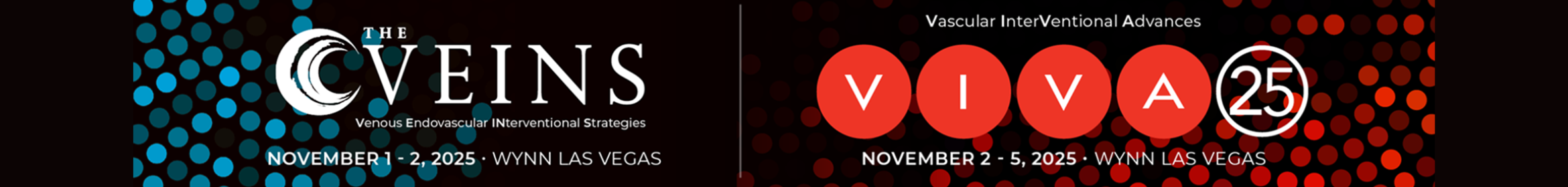 VIVA and The VEINS 2025 Main banner